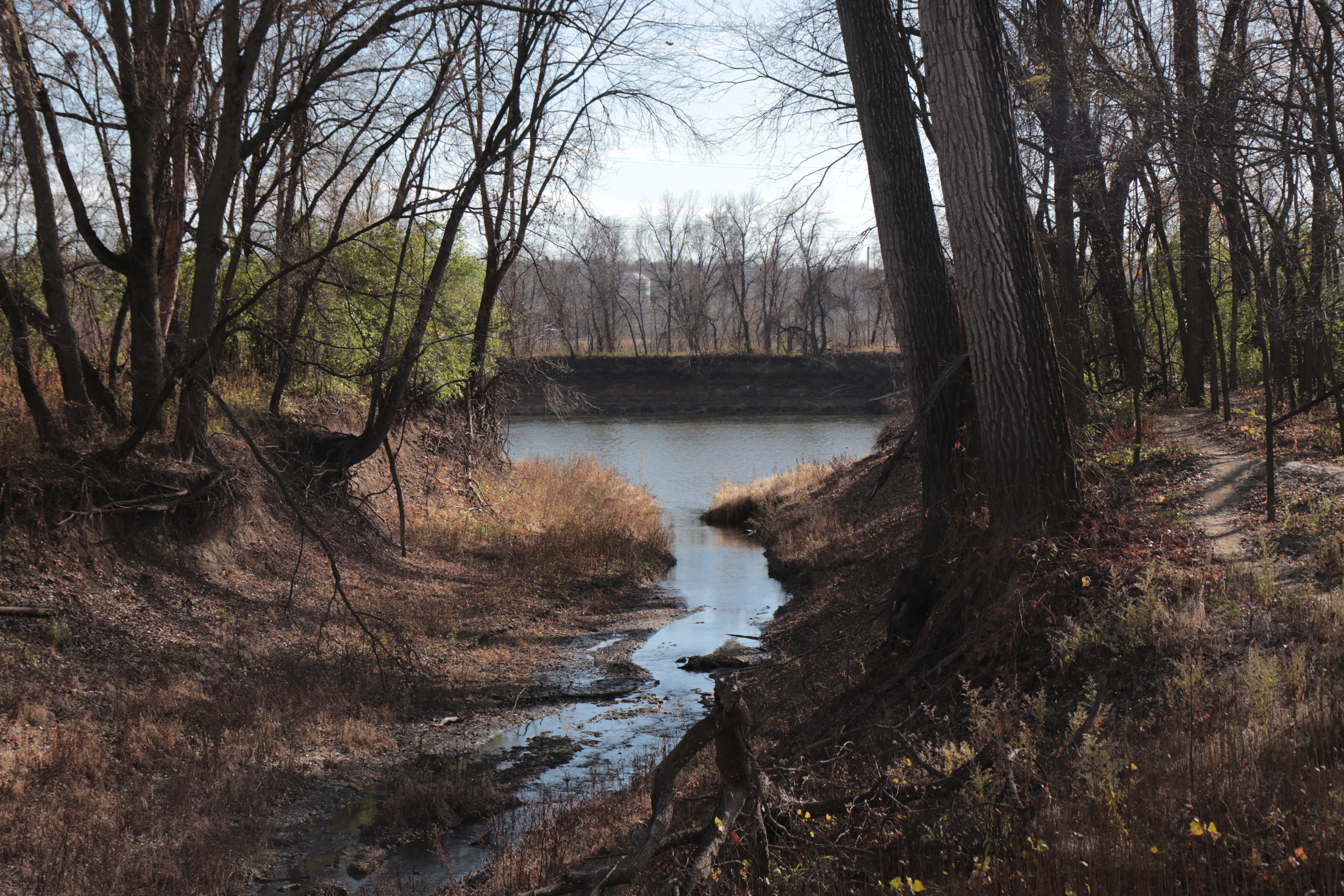 Minnesota River on November 12, 2023. Photo by Gabriel Matias Castilho